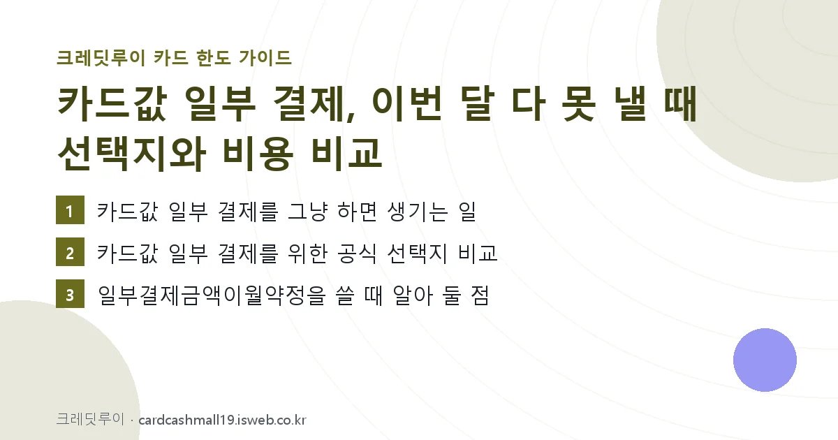 카드값 일부 결제 핵심 내용 요약