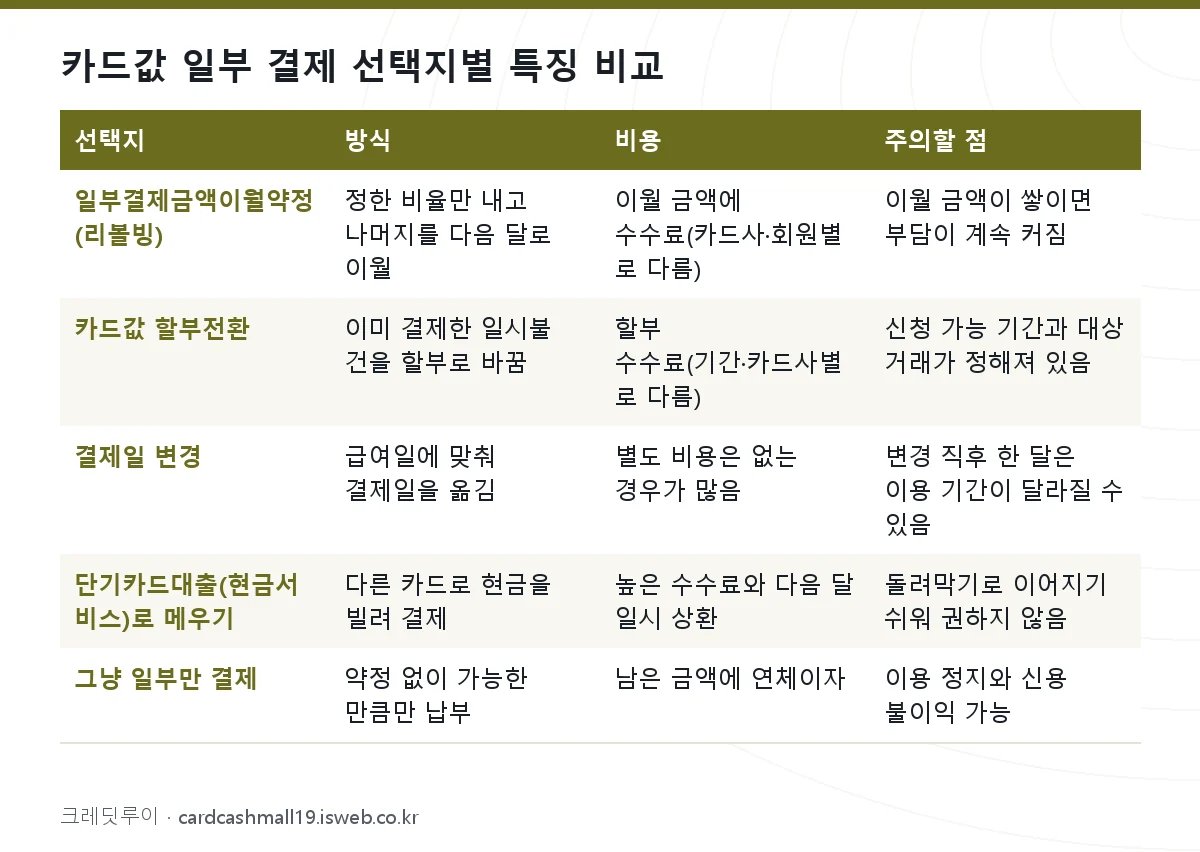 카드값 일부 결제 카드값 일부 결제 선택지별 특징 비교